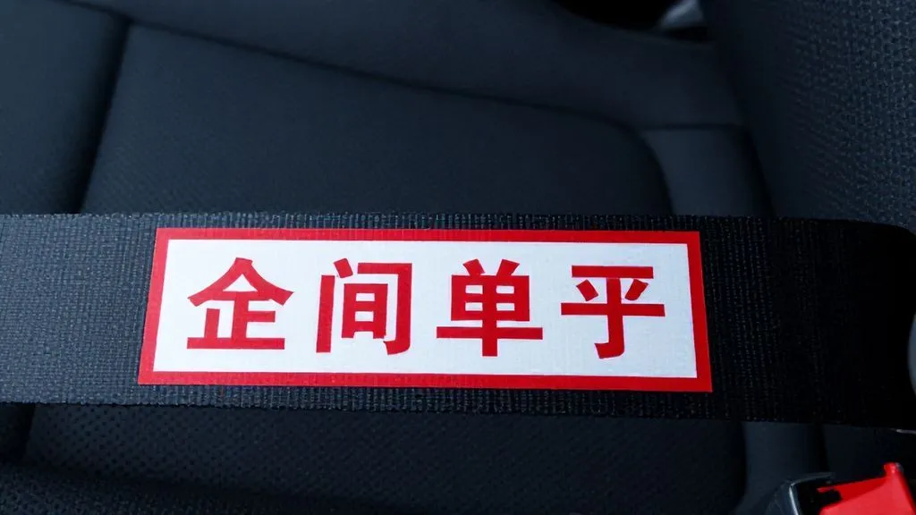 seat belt slogans