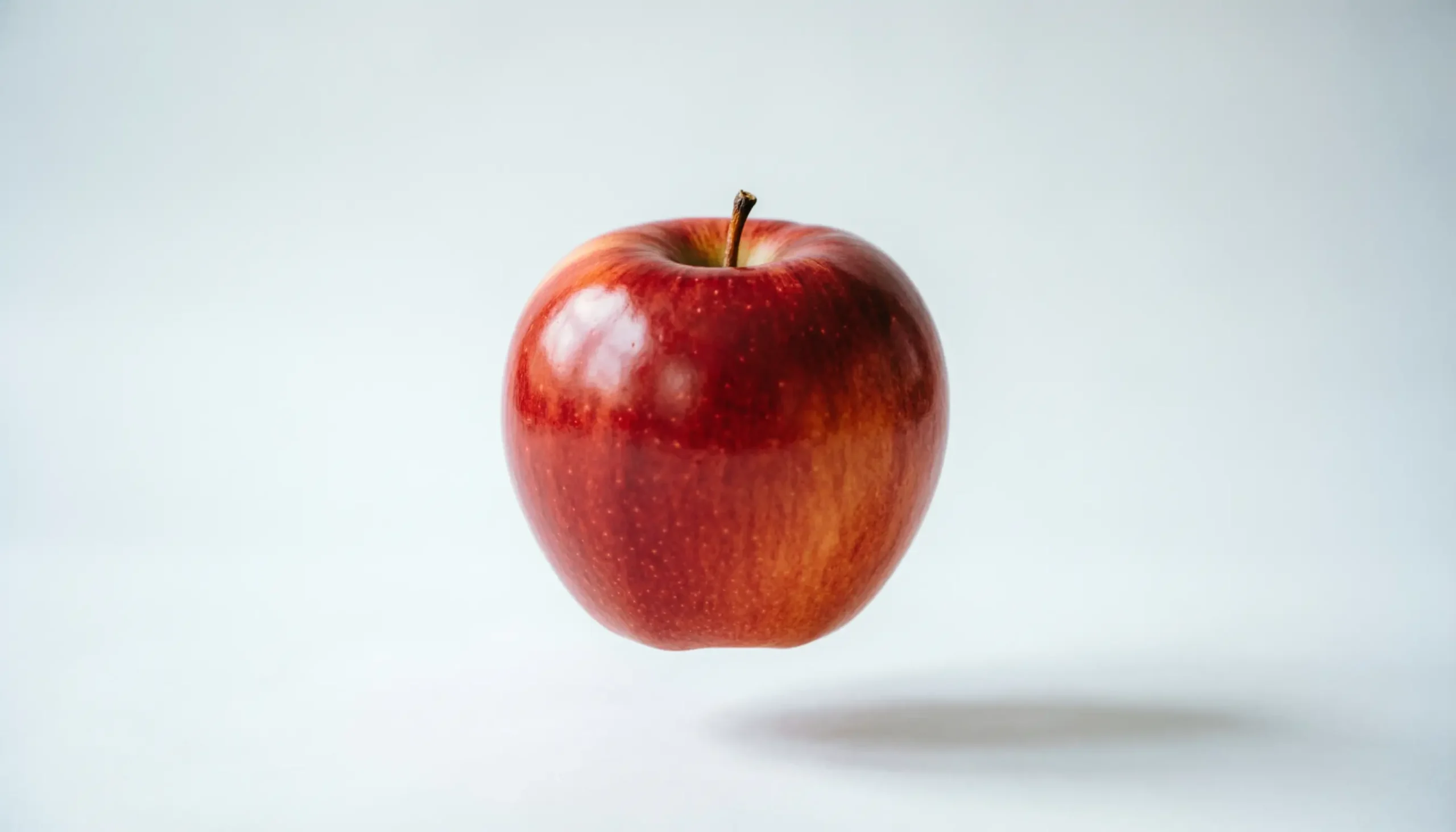 apple slogan
